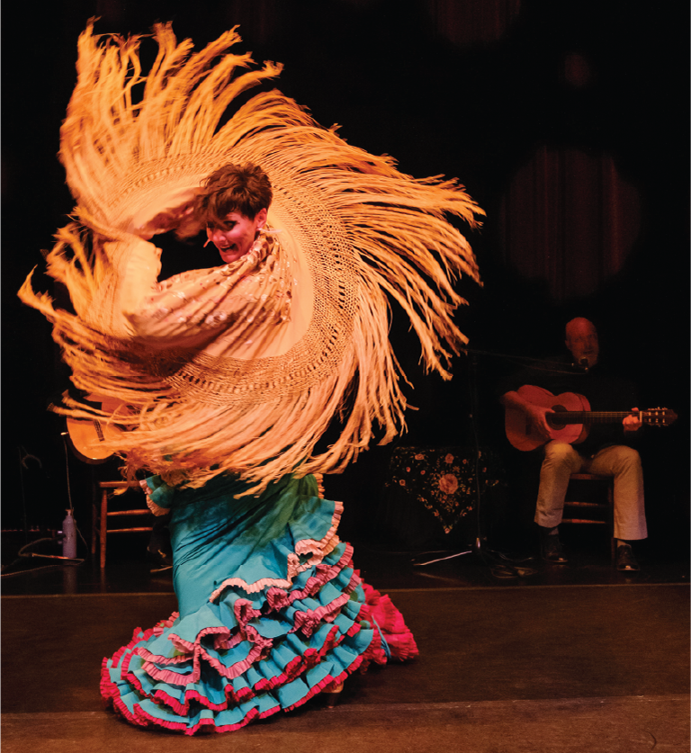 Flamenco del Lago