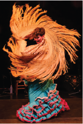 Flamenco del Lago